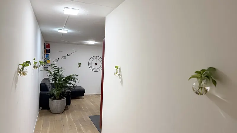 Entrance and hallway of the Webzenz Switzerland office with plants